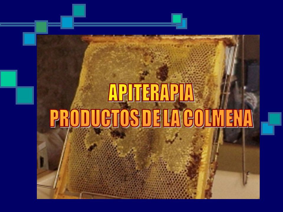 PRODUCTOS DE LA COLMENA