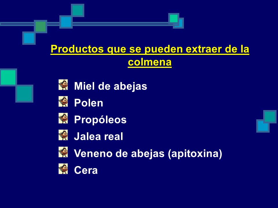 Productos que se pueden extraer de la colmena