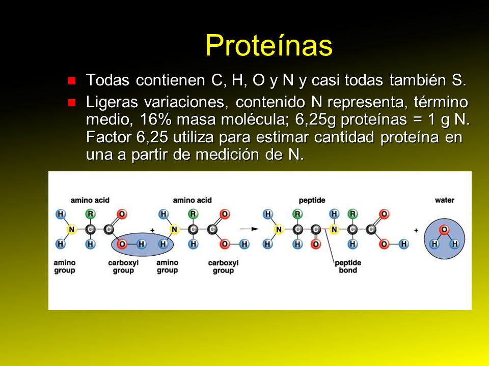 Proteínas Todas contienen C, H, O y N y casi todas también S.