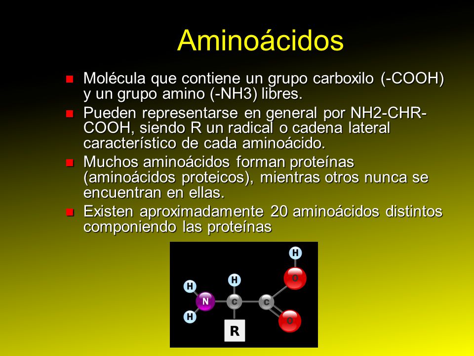 Aminoácidos Molécula que contiene un grupo carboxilo (-COOH) y un grupo amino (-NH3) libres.