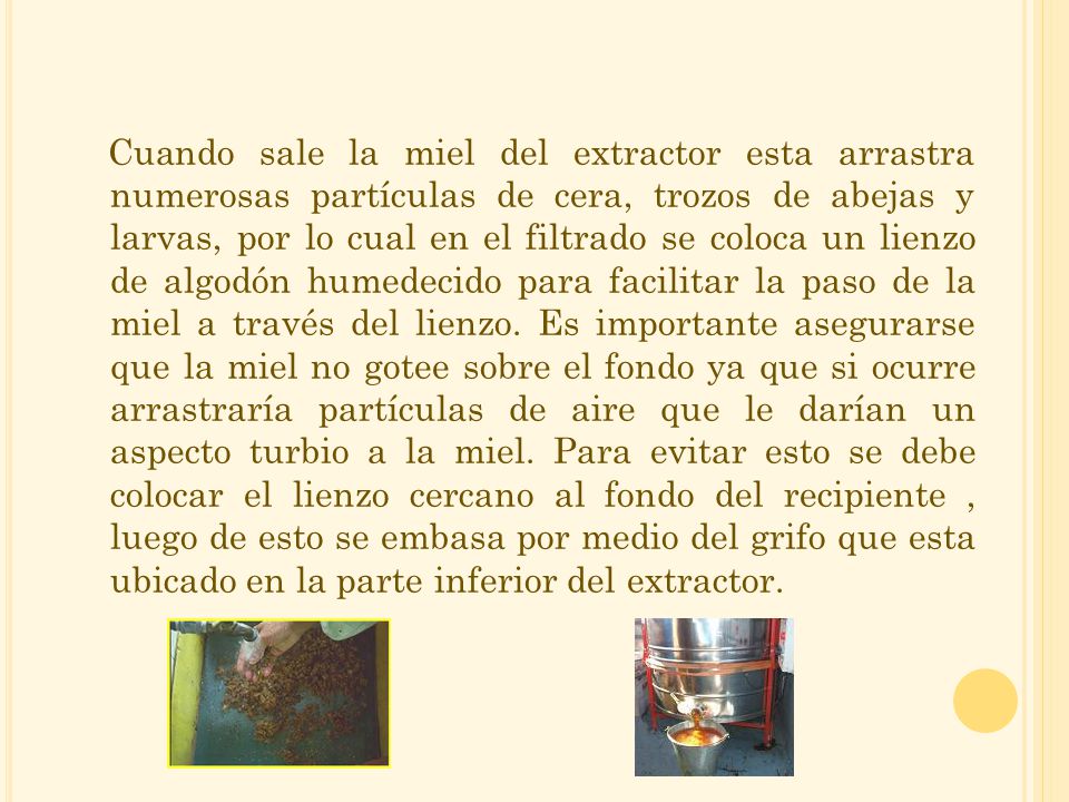 Cuando sale la miel del extractor esta arrastra numerosas partículas de cera, trozos de abejas y larvas, por lo cual en el filtrado se coloca un lienzo de algodón humedecido para facilitar la paso de la miel a través del lienzo.