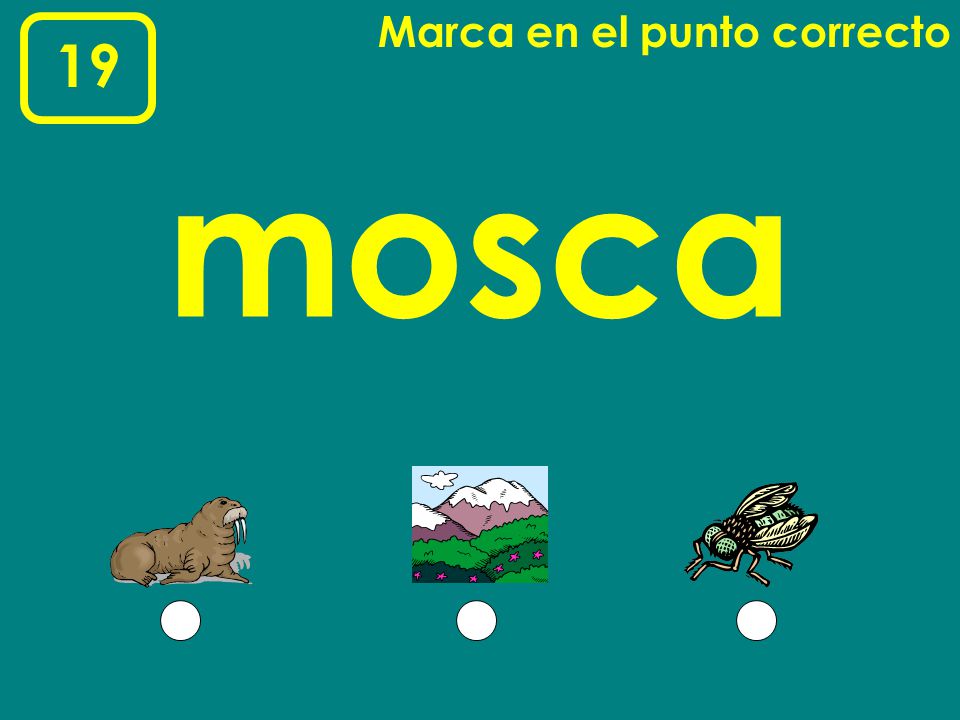 Marca en el punto correcto