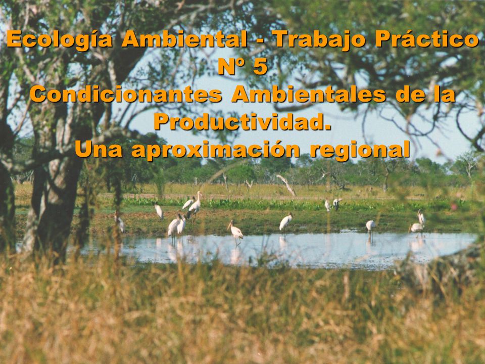 Ecología Ambiental - Trabajo Práctico Nº 5 Condicionantes Ambientales de la Productividad.