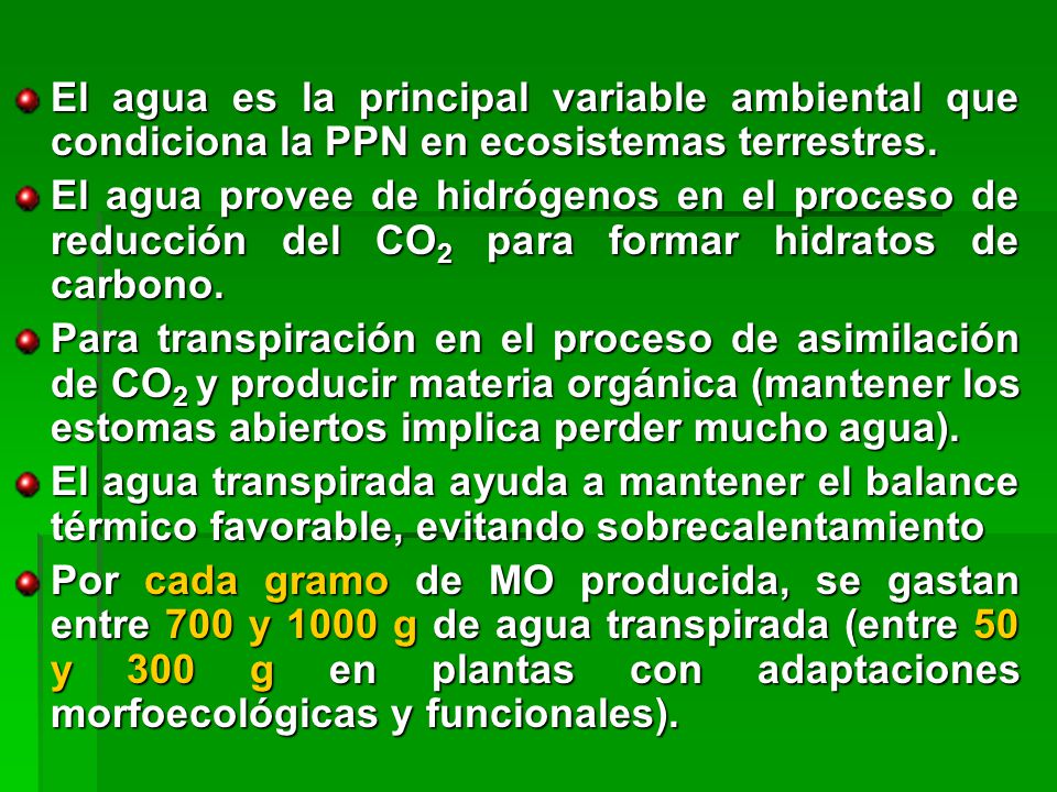 El agua es la principal variable ambiental que condiciona la PPN en ecosistemas terrestres.