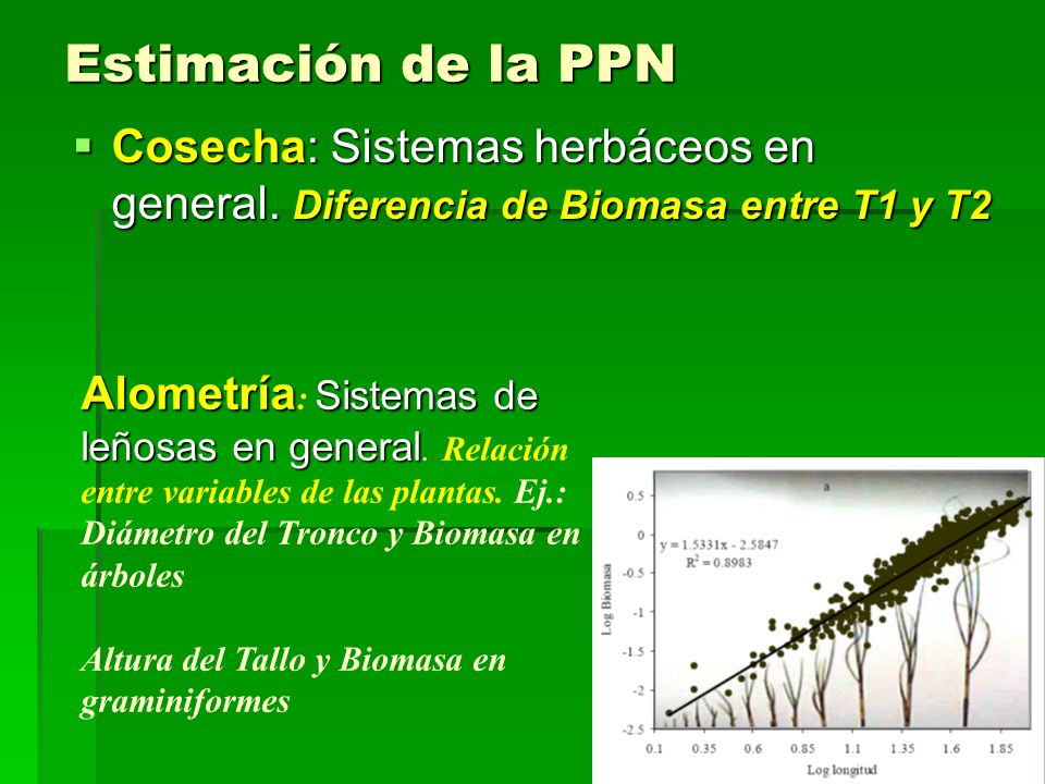 Estimación de la PPN Cosecha: Sistemas herbáceos en general. Diferencia de Biomasa entre T1 y T2.
