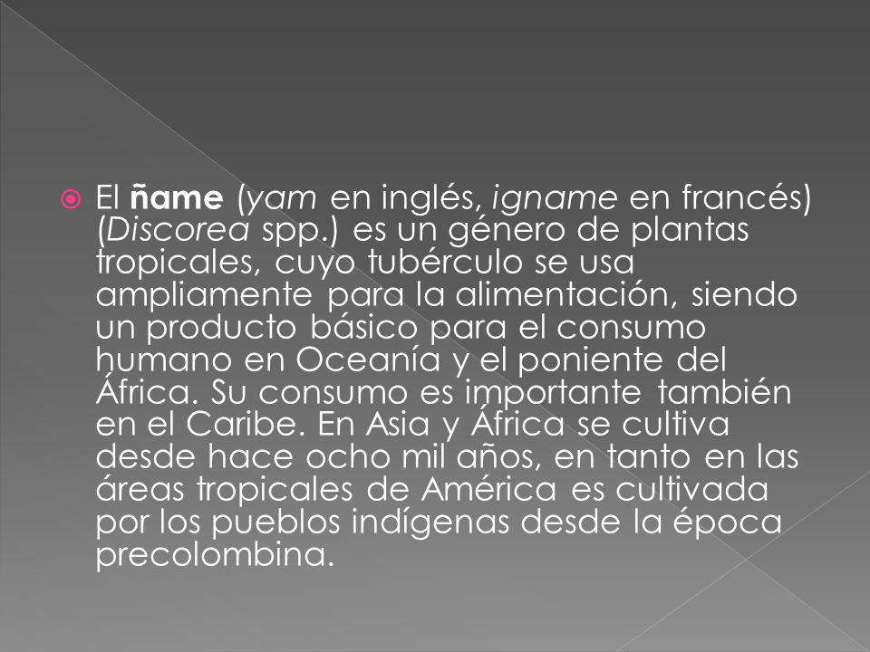 El ñame (yam en inglés, igname en francés) (Discorea spp