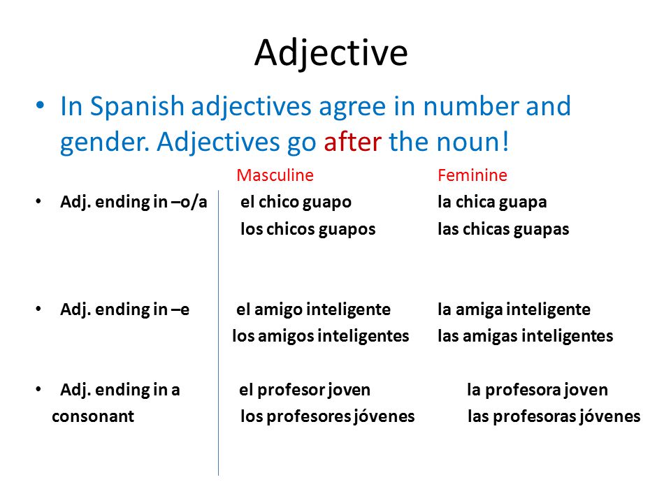 Adjective In Spanish adjectives agree in number and gender. Adjectives go after the noun! Masculine Feminine.