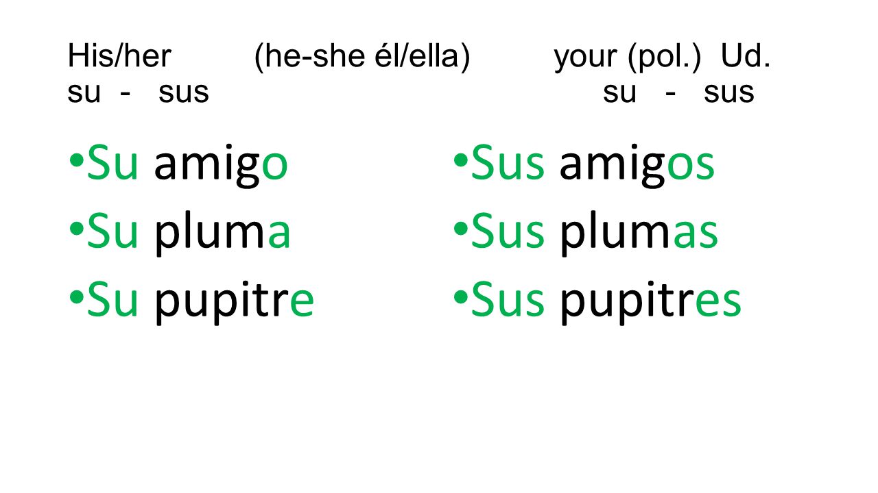 His/her (he-she él/ella) your (pol.) Ud. su - sus su - sus