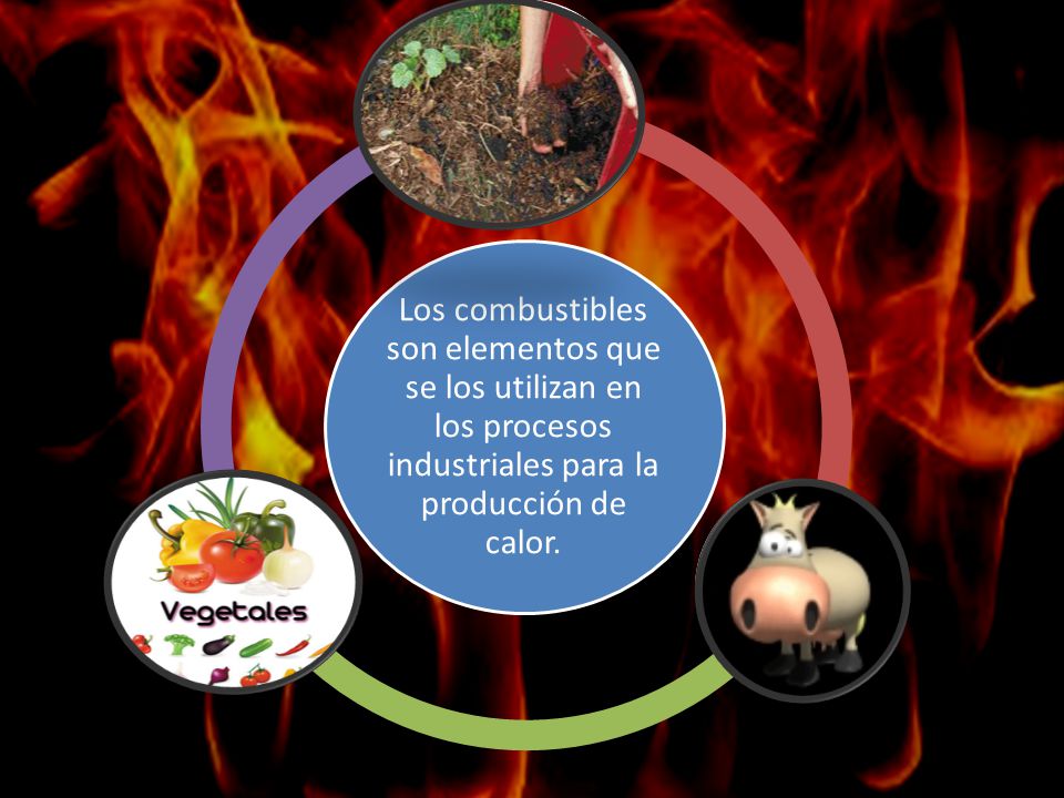 Los combustibles son elementos que se los utilizan en los procesos industriales para la producción de calor.