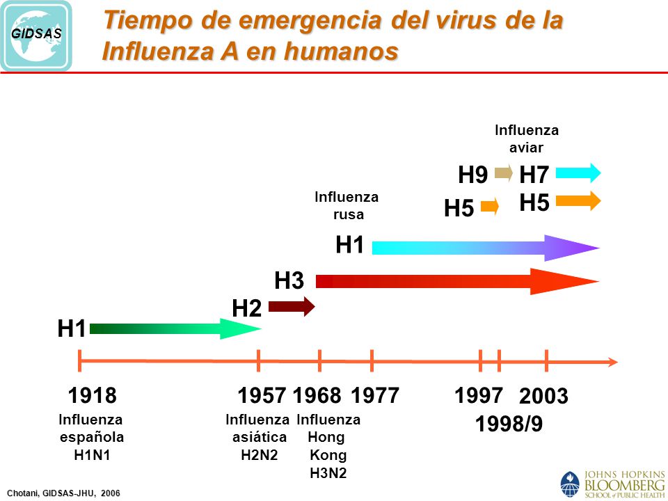 Tiempo de emergencia del virus de la Influenza A en humanos