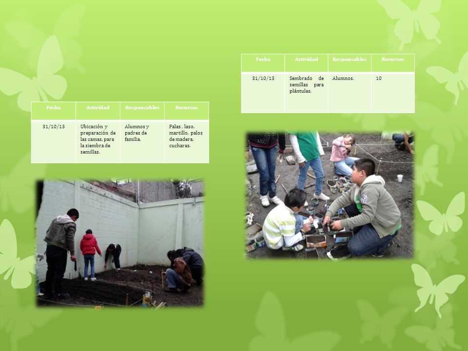 Fecha Actividad. Responsables. Recursos. 31/10/13. Sembrado de semillas para plántulas. Alumnos.