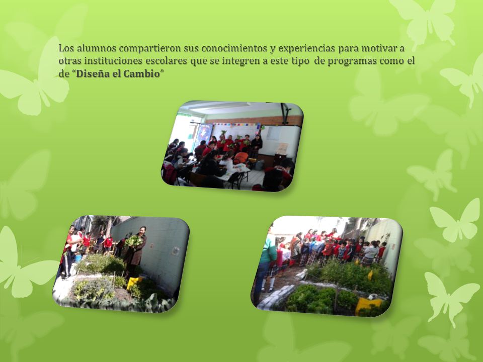 Los alumnos compartieron sus conocimientos y experiencias para motivar a otras instituciones escolares que se integren a este tipo de programas como el de Diseña el Cambio