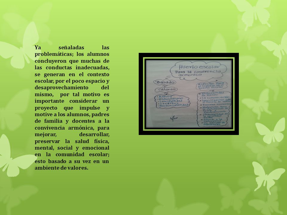 Ya señaladas las problemáticas; los alumnos concluyeron que muchas de las conductas inadecuadas, se generan en el contexto escolar, por el poco espacio y desaprovechamiento del mismo, por tal motivo es importante considerar un proyecto que impulse y motive a los alumnos, padres de familia y docentes a la convivencia armónica, para mejorar, desarrollar, preservar la salud física, mental, social y emocional en la comunidad escolar; esto basado a su vez en un ambiente de valores.