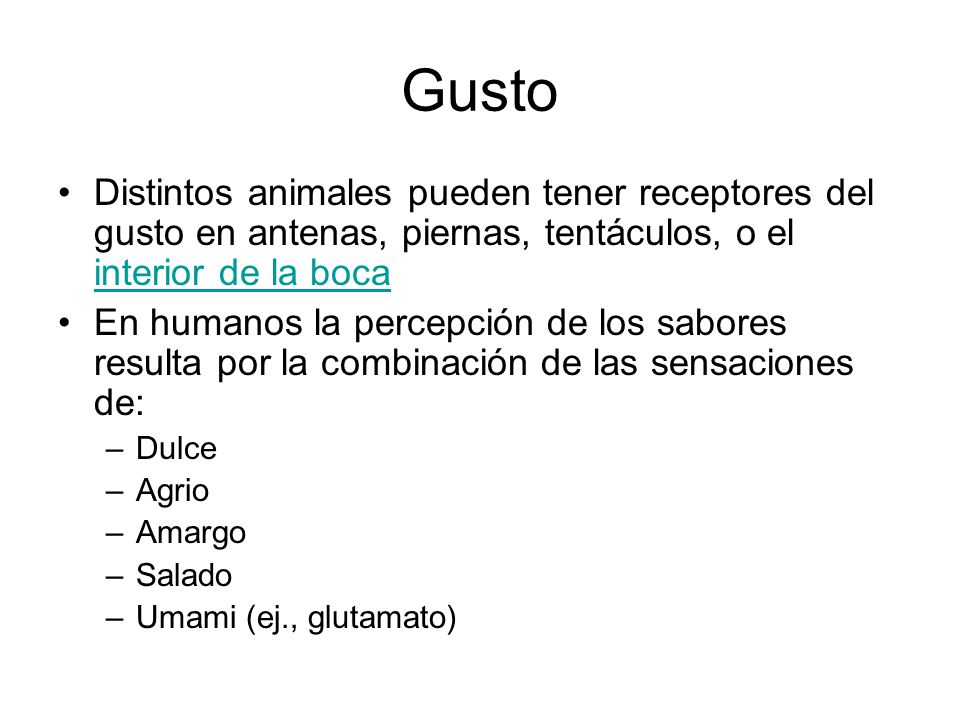 Gusto Distintos animales pueden tener receptores del gusto en antenas, piernas, tentáculos, o el interior de la boca.