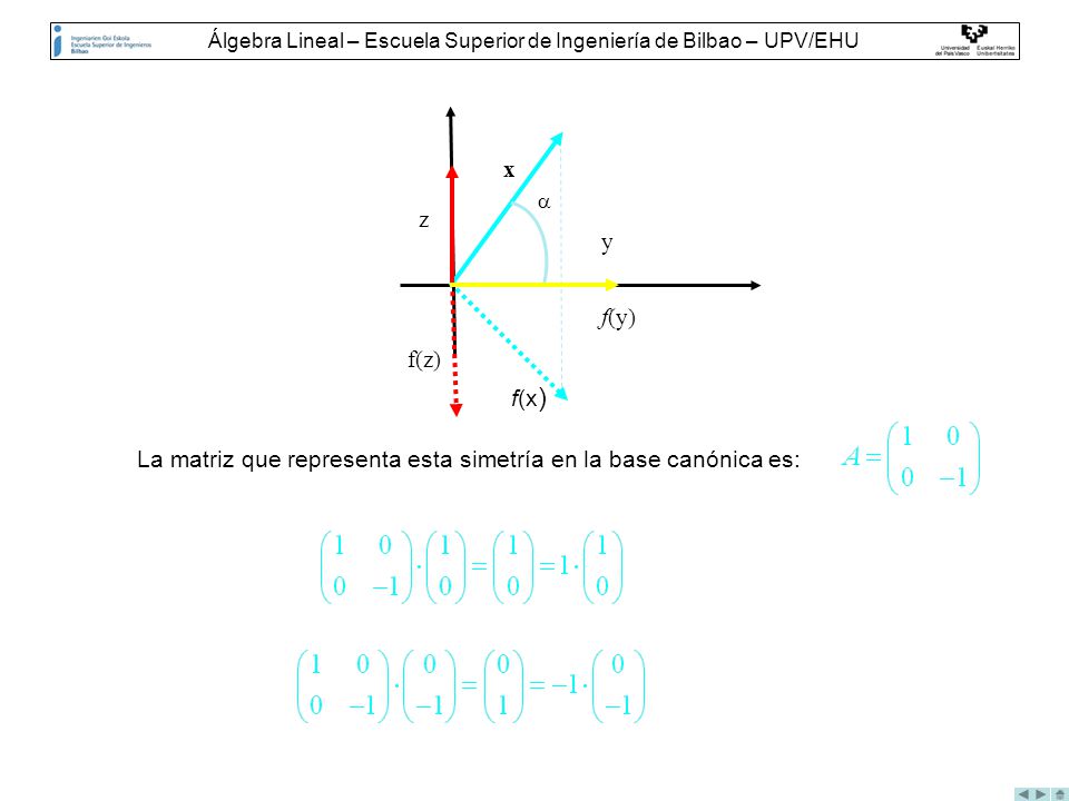 La matriz que representa esta simetría en la base canónica es: