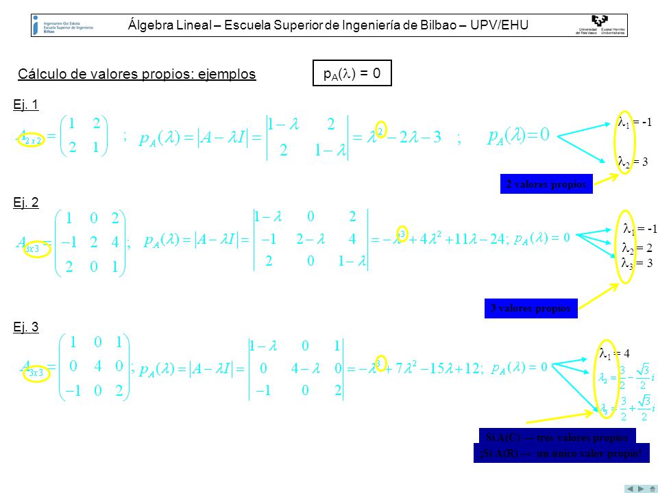 Álgebra Lineal – Escuela Superior de Ingeniería de Bilbao – UPV/EHU