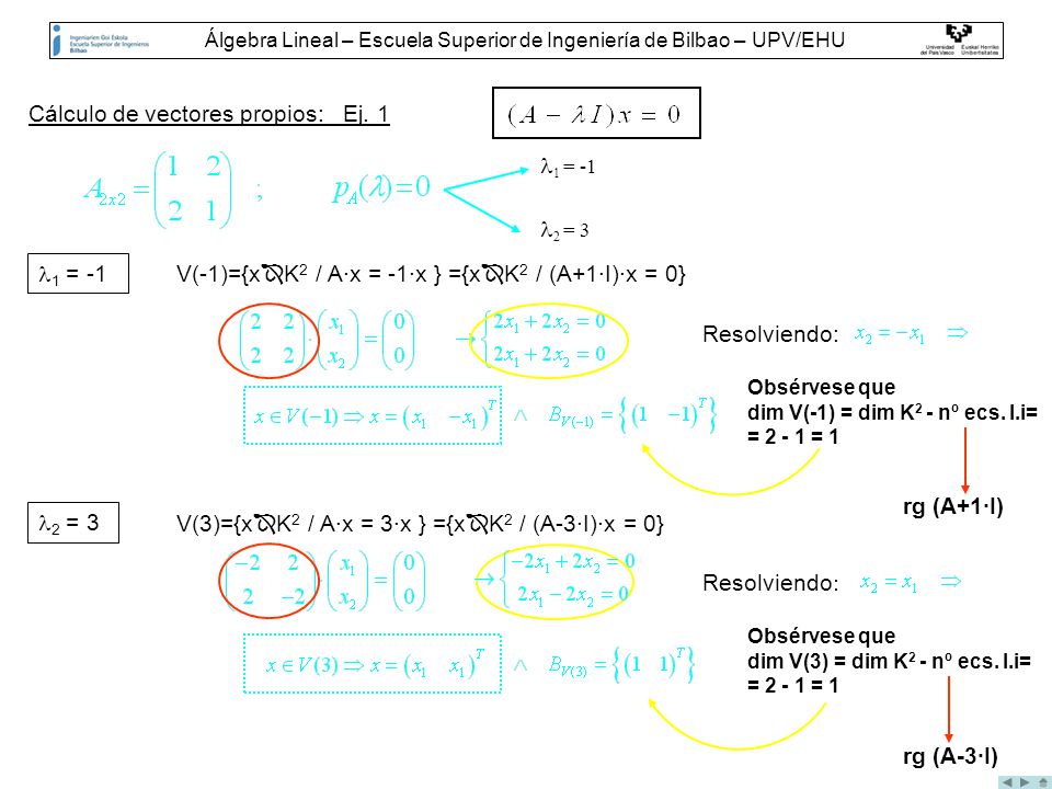 Álgebra Lineal – Escuela Superior de Ingeniería de Bilbao – UPV/EHU