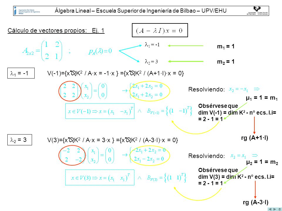Álgebra Lineal – Escuela Superior de Ingeniería de Bilbao – UPV/EHU