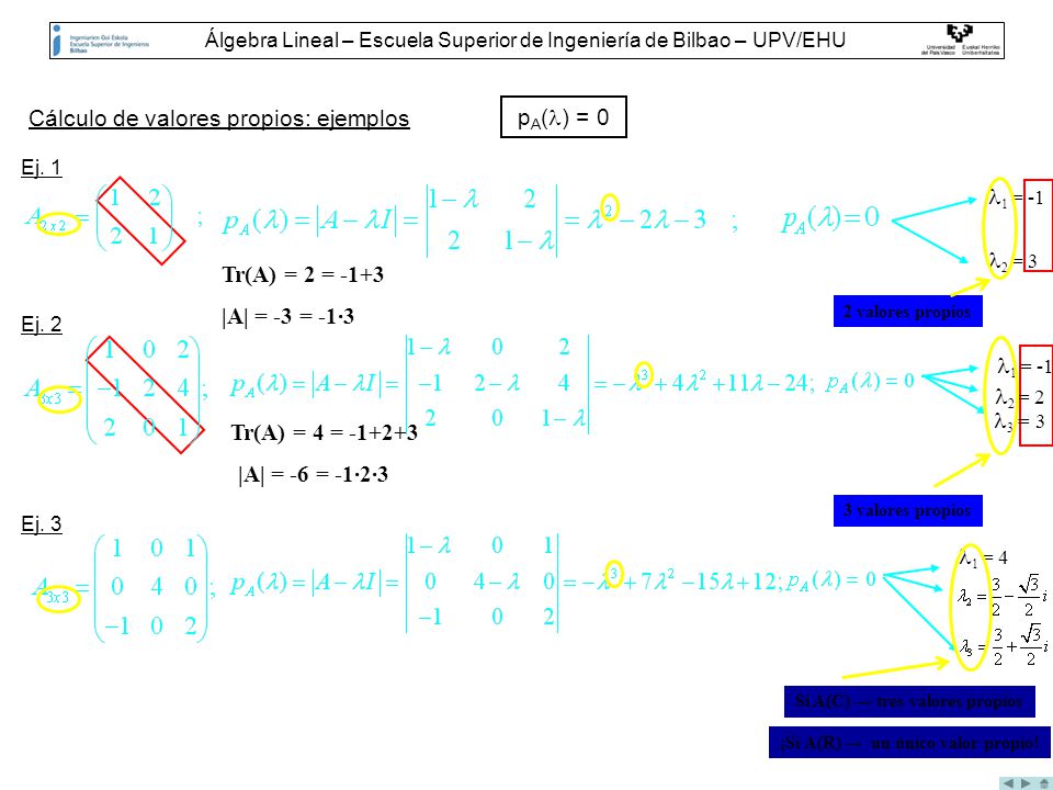 Álgebra Lineal – Escuela Superior de Ingeniería de Bilbao – UPV/EHU