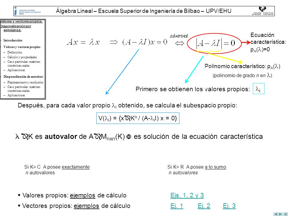 Álgebra Lineal – Escuela Superior de Ingeniería de Bilbao – UPV/EHU