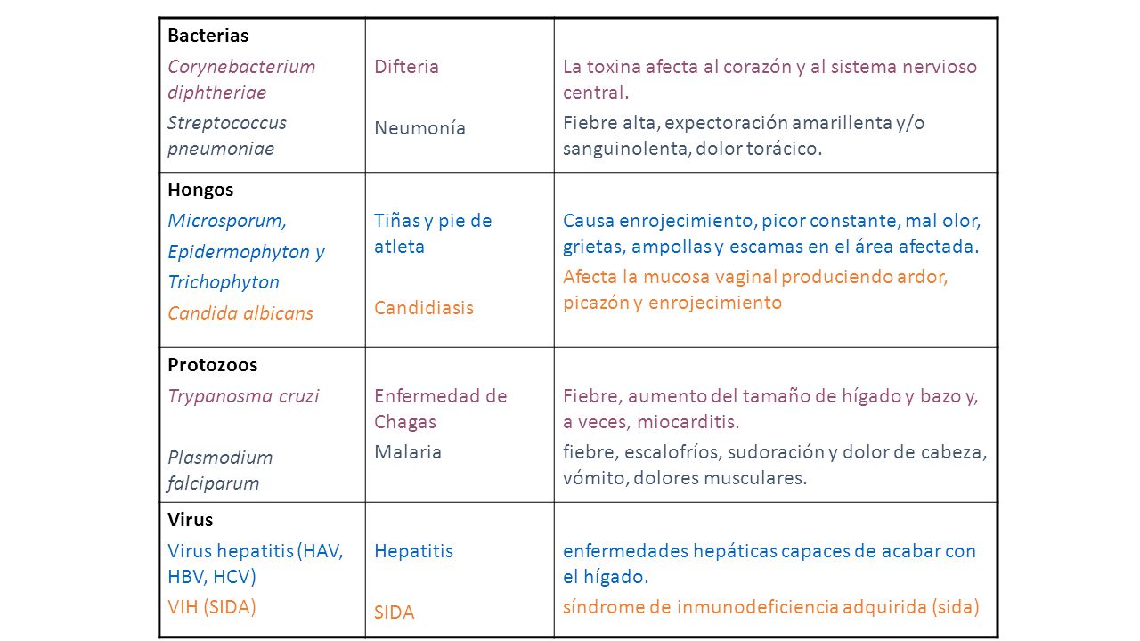 Bacterias Corynebacterium diphtheriae. Streptococcus pneumoniae. Difteria. Neumonía. La toxina afecta al corazón y al sistema nervioso central.