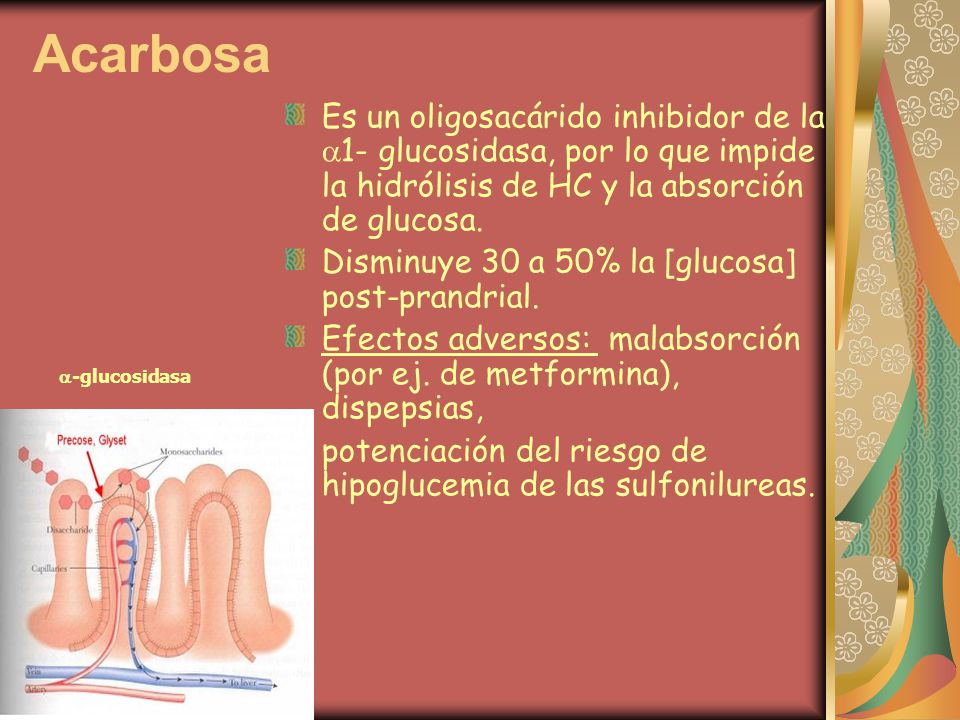 Acarbosa Es un oligosacárido inhibidor de la 1- glucosidasa, por lo que impide la hidrólisis de HC y la absorción de glucosa.