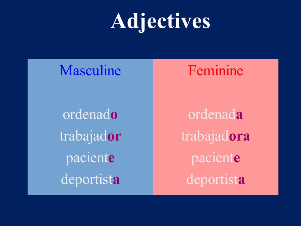 Adjectives Masculine ordenado trabajador paciente deportista Feminine