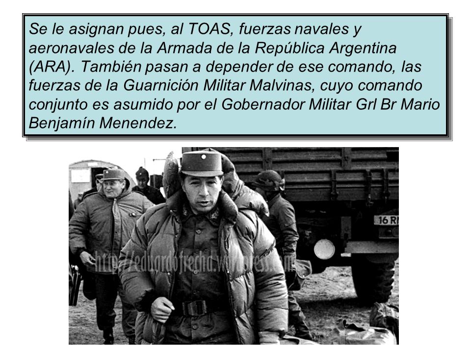 Se le asignan pues, al TOAS, fuerzas navales y aeronavales de la Armada de la República Argentina (ARA).