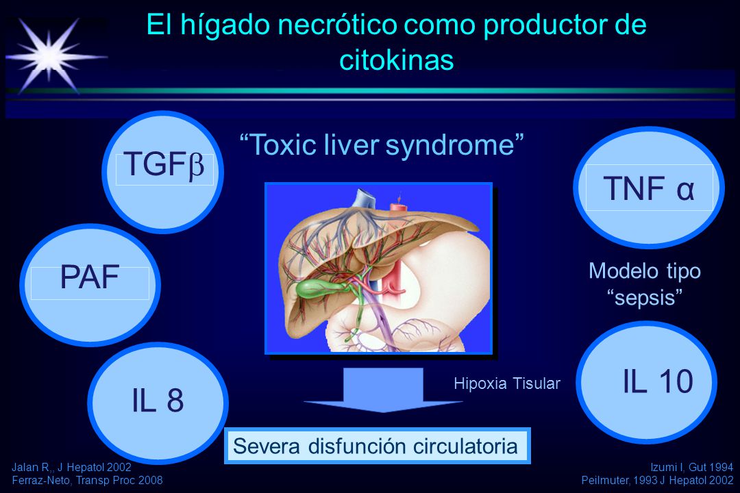 El hígado necrótico como productor de citokinas