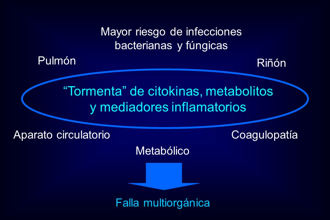 Tormenta de citokinas, metabolitos y mediadores inflamatorios