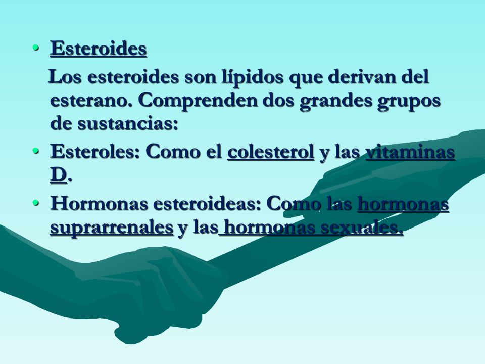 Esteroides Los esteroides son lípidos que derivan del esterano. Comprenden dos grandes grupos de sustancias:
