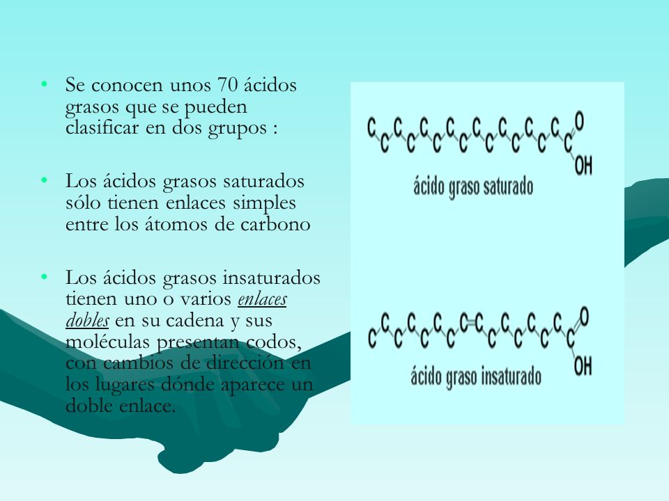 Se conocen unos 70 ácidos grasos que se pueden clasificar en dos grupos :