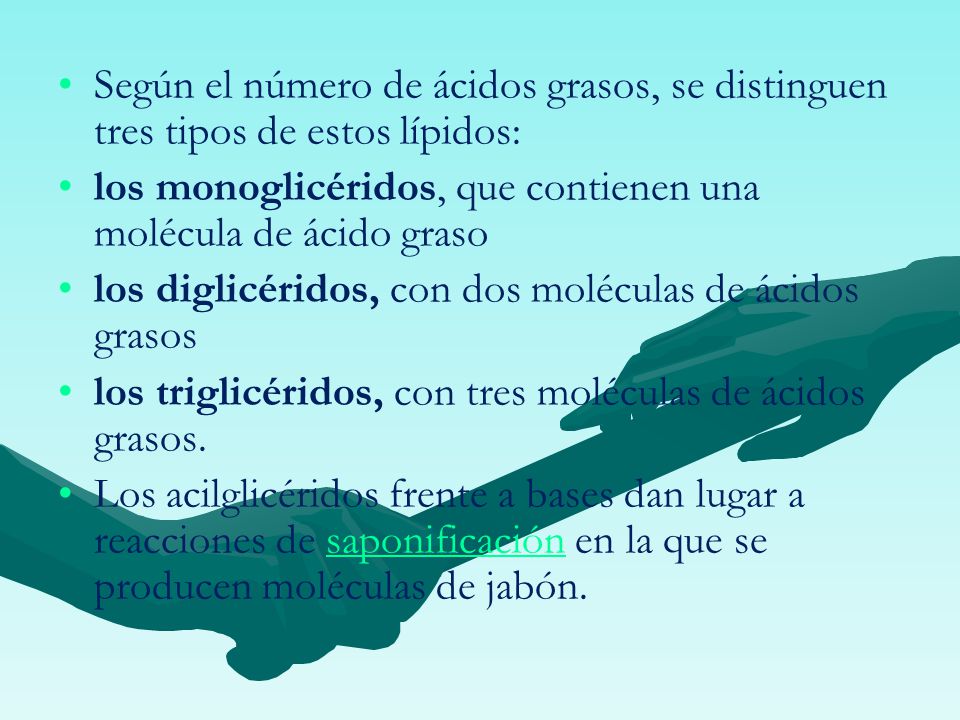 Según el número de ácidos grasos, se distinguen tres tipos de estos lípidos: