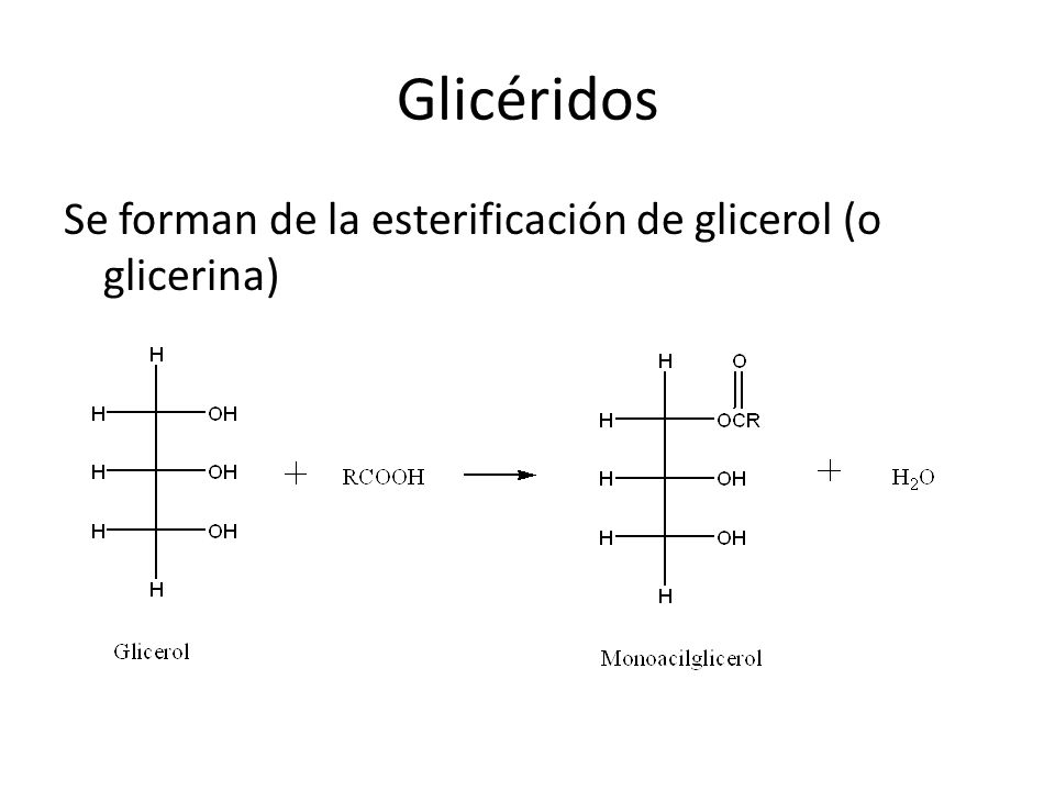 Glicéridos Se forman de la esterificación de glicerol (o glicerina)