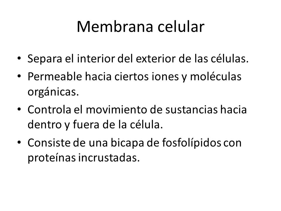 Membrana celular Separa el interior del exterior de las células.