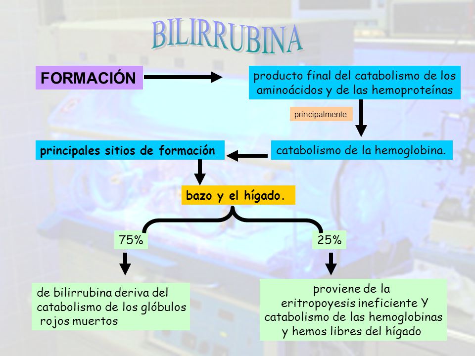BILIRRUBINA FORMACIÓN producto final del catabolismo de los