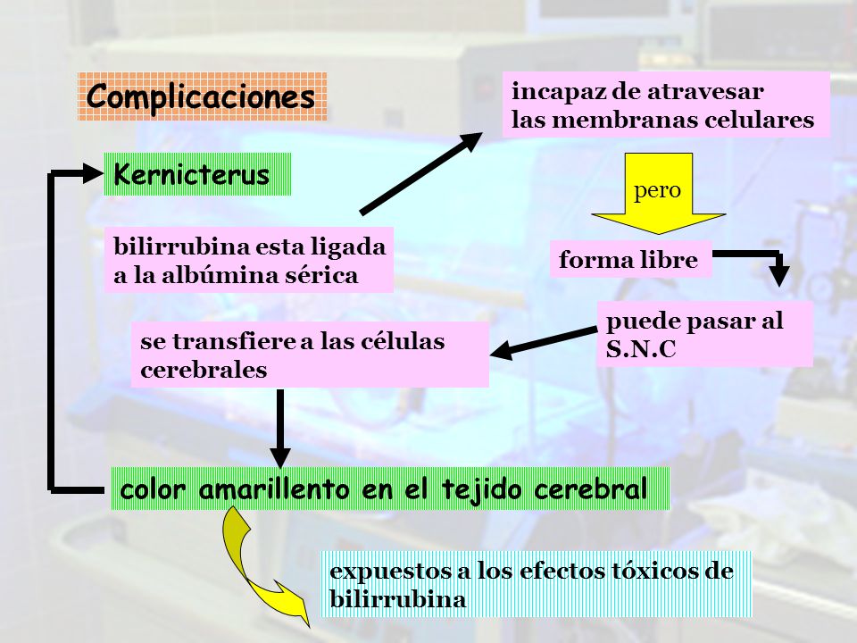 Complicaciones Kernicterus color amarillento en el tejido cerebral