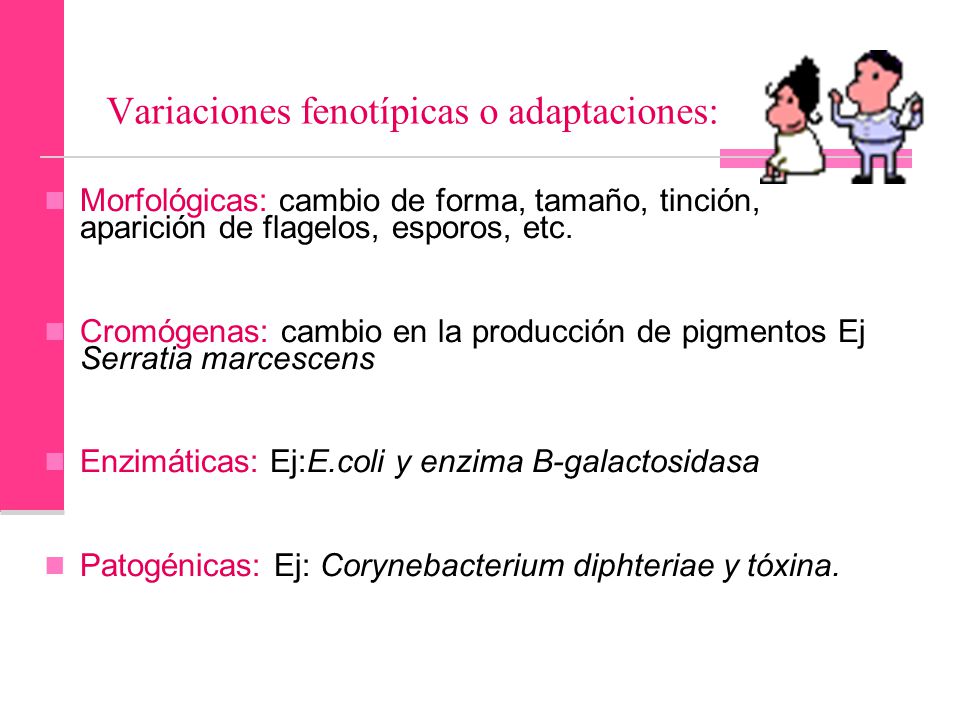 Variaciones fenotípicas o adaptaciones: