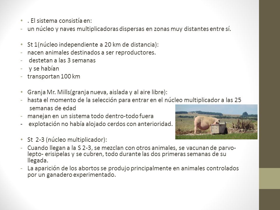 . El sistema consistía en: