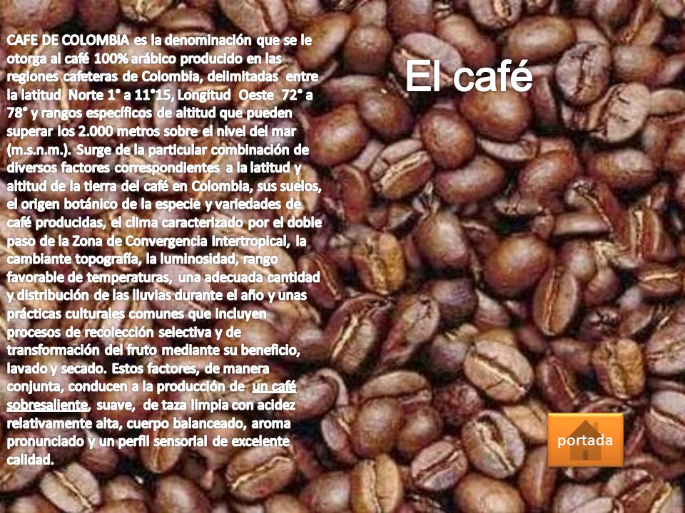 CAFE DE COLOMBIA es la denominación que se le otorga al café 100% arábico producido en las regiones cafeteras de Colombia, delimitadas entre la latitud Norte 1° a 11°15, Longitud Oeste 72° a 78° y rangos específicos de altitud que pueden superar los metros sobre el nivel del mar (m.s.n.m.). Surge de la particular combinación de diversos factores correspondientes a la latitud y altitud de la tierra del café en Colombia, sus suelos, el origen botánico de la especie y variedades de café producidas, el clima caracterizado por el doble paso de la Zona de Convergencia Intertropical, la cambiante topografía, la luminosidad, rango favorable de temperaturas, una adecuada cantidad y distribución de las lluvias durante el año y unas prácticas culturales comunes que incluyen procesos de recolección selectiva y de transformación del fruto mediante su beneficio, lavado y secado. Estos factores, de manera conjunta, conducen a la producción de un café sobresaliente, suave, de taza limpia con acidez relativamente alta, cuerpo balanceado, aroma pronunciado y un perfil sensorial de excelente calidad.