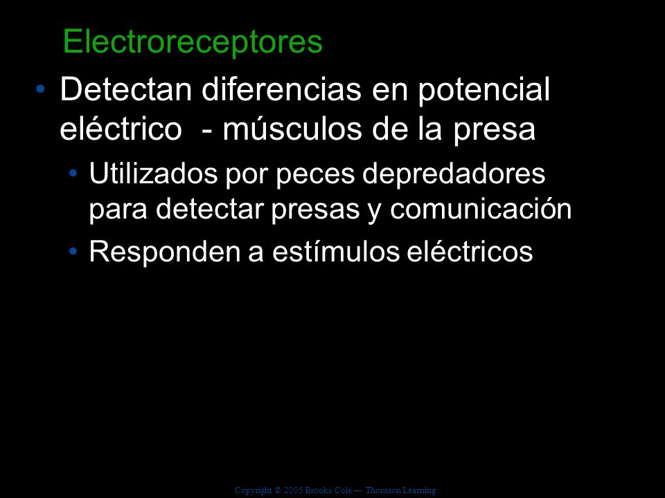 Detectan diferencias en potencial eléctrico - músculos de la presa