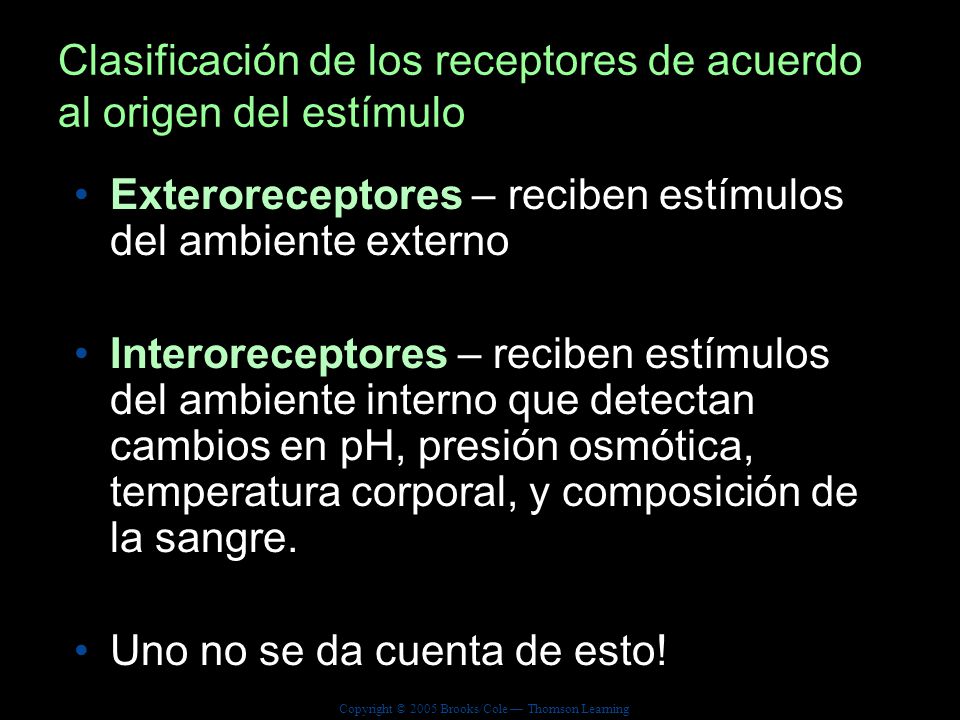 Clasificación de los receptores de acuerdo al origen del estímulo