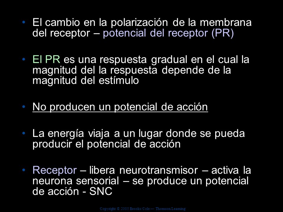 El cambio en la polarización de la membrana del receptor – potencial del receptor (PR)