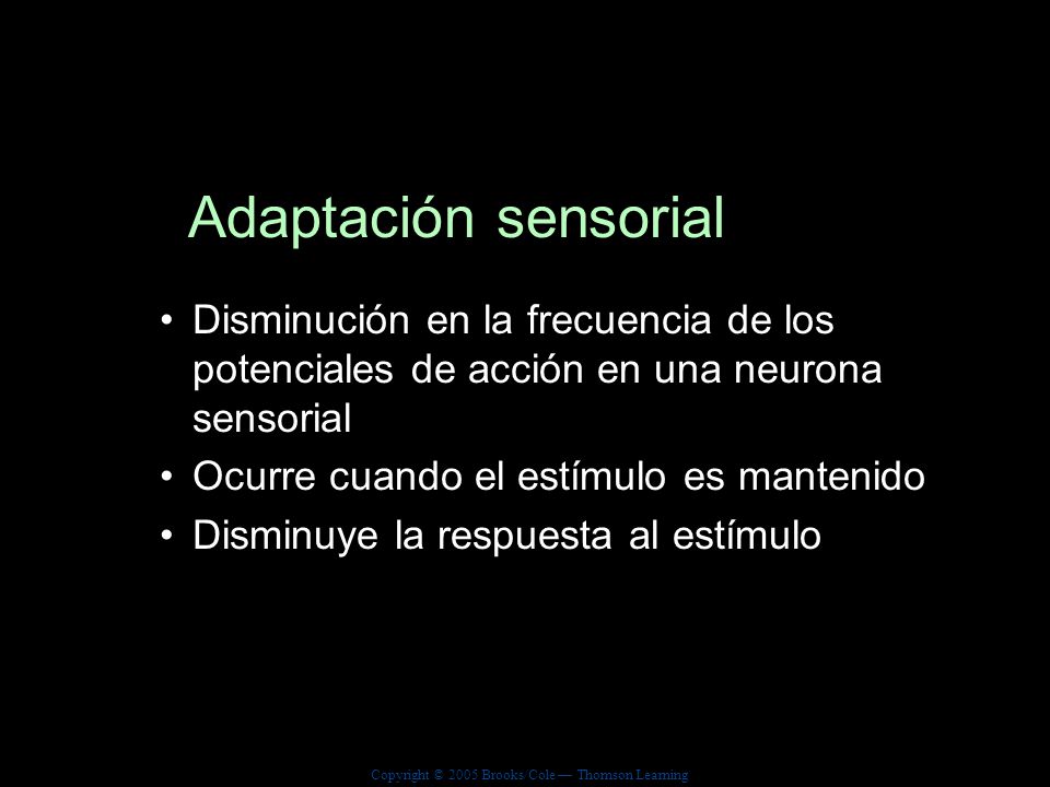 Adaptación sensorial Disminución en la frecuencia de los potenciales de acción en una neurona sensorial.