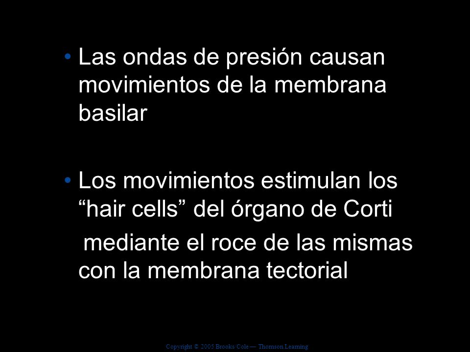 Las ondas de presión causan movimientos de la membrana basilar