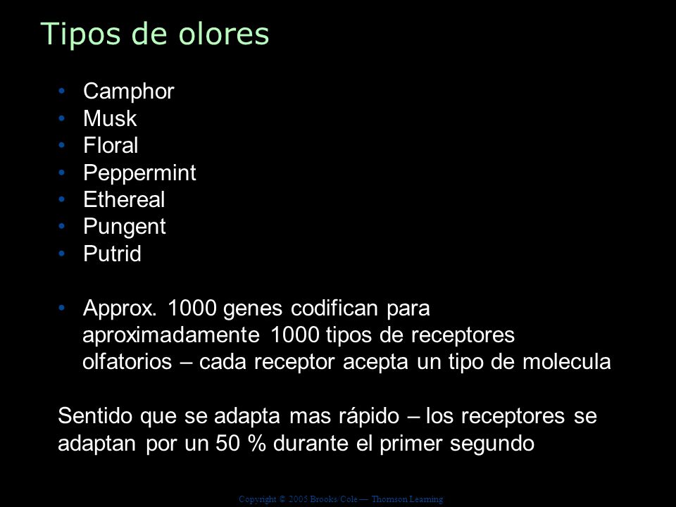 Tipos de olores Camphor Musk Floral Peppermint Ethereal Pungent Putrid