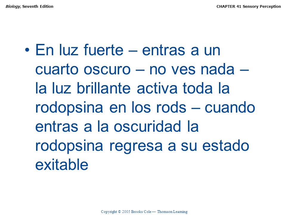 En luz fuerte – entras a un cuarto oscuro – no ves nada – la luz brillante activa toda la rodopsina en los rods – cuando entras a la oscuridad la rodopsina regresa a su estado exitable