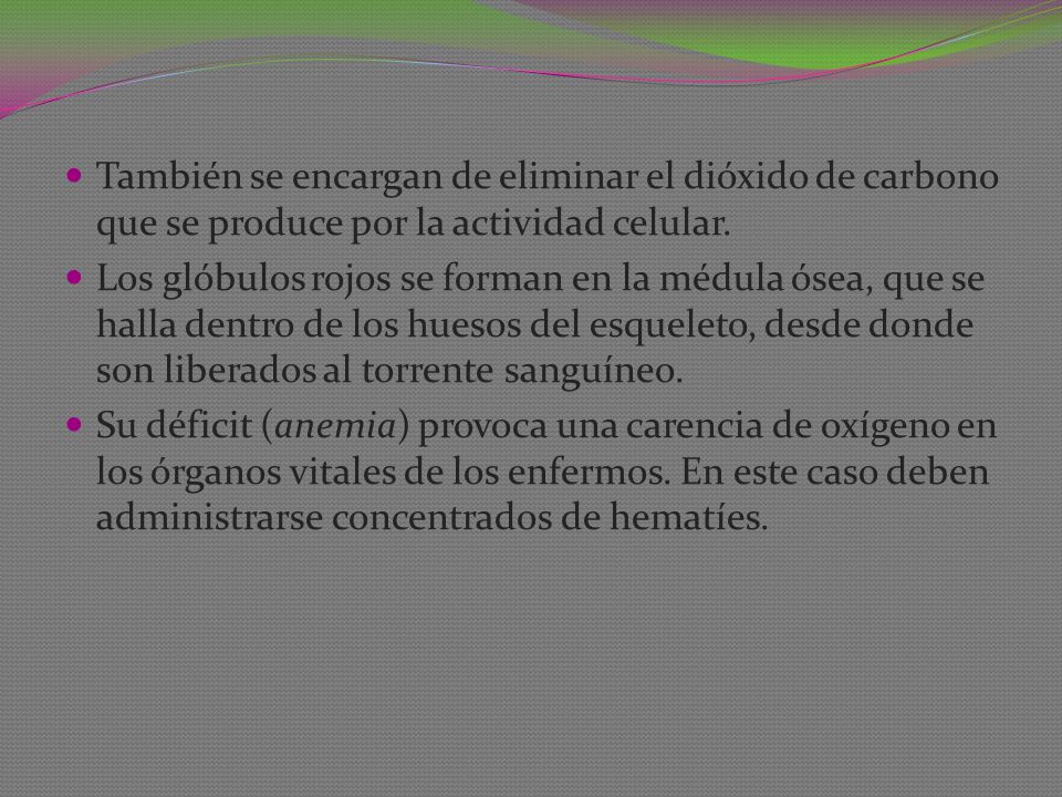 También se encargan de eliminar el dióxido de carbono que se produce por la actividad celular.