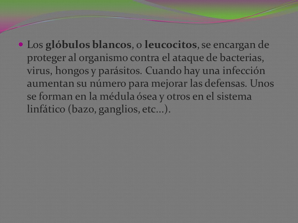 Los glóbulos blancos, o leucocitos, se encargan de proteger al organismo contra el ataque de bacterias, virus, hongos y parásitos.