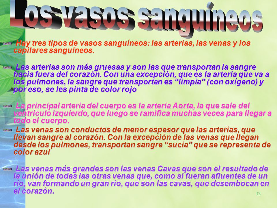 Los vasos sanguíneos Hay tres tipos de vasos sanguíneos: las arterias, las venas y los capilares sanguíneos.